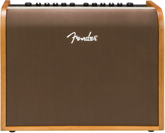 Fender Acoustic 100 - Acoustic Guitar/Microphone Amplifier