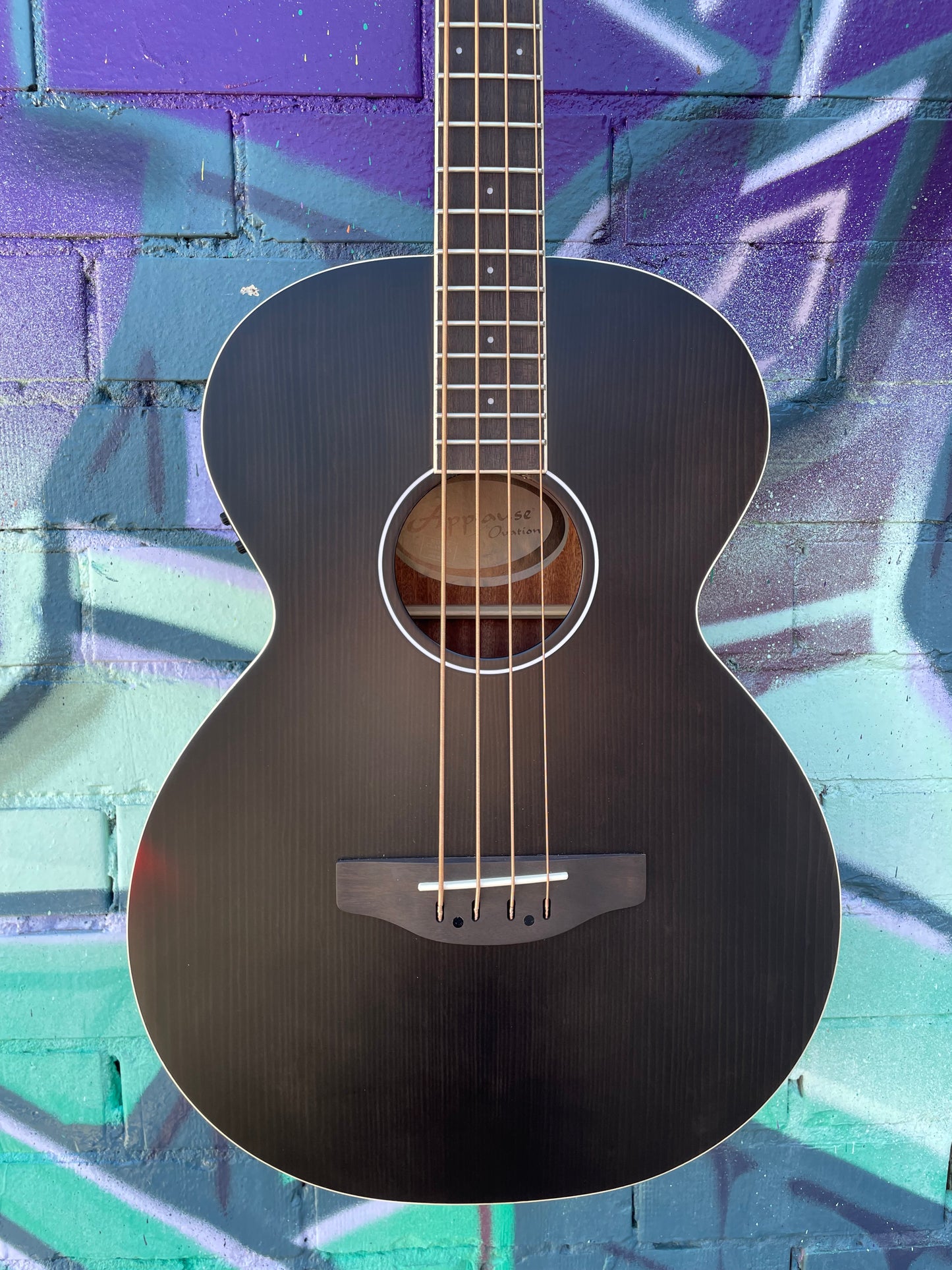 Applause E-Acoustic Bass Wood Classics AEB96-5E Jumbo Bass - Matte Black