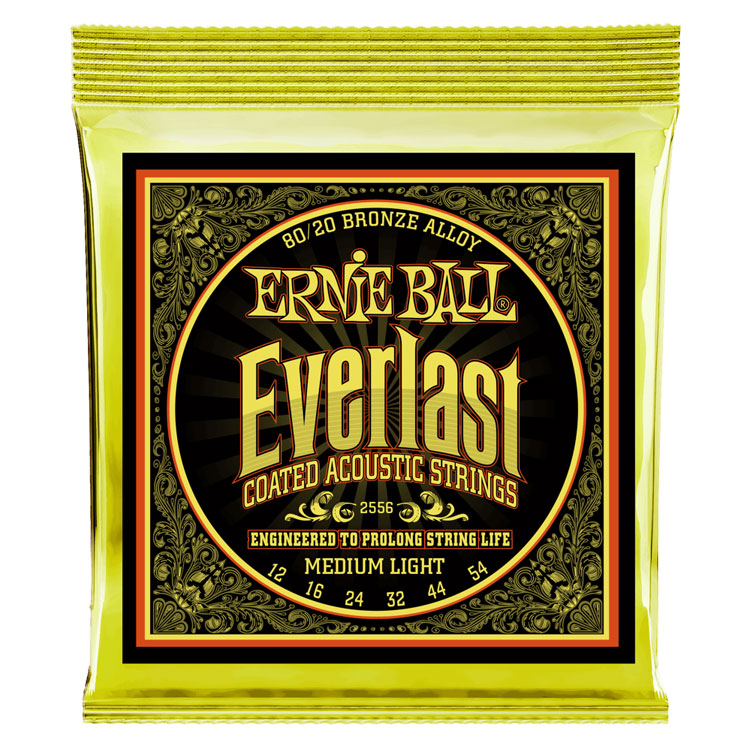 Ernie Ball Everlast Coated 80/20 Bronze Medium Light 12-54 6-String Acoustic Guitar Strings