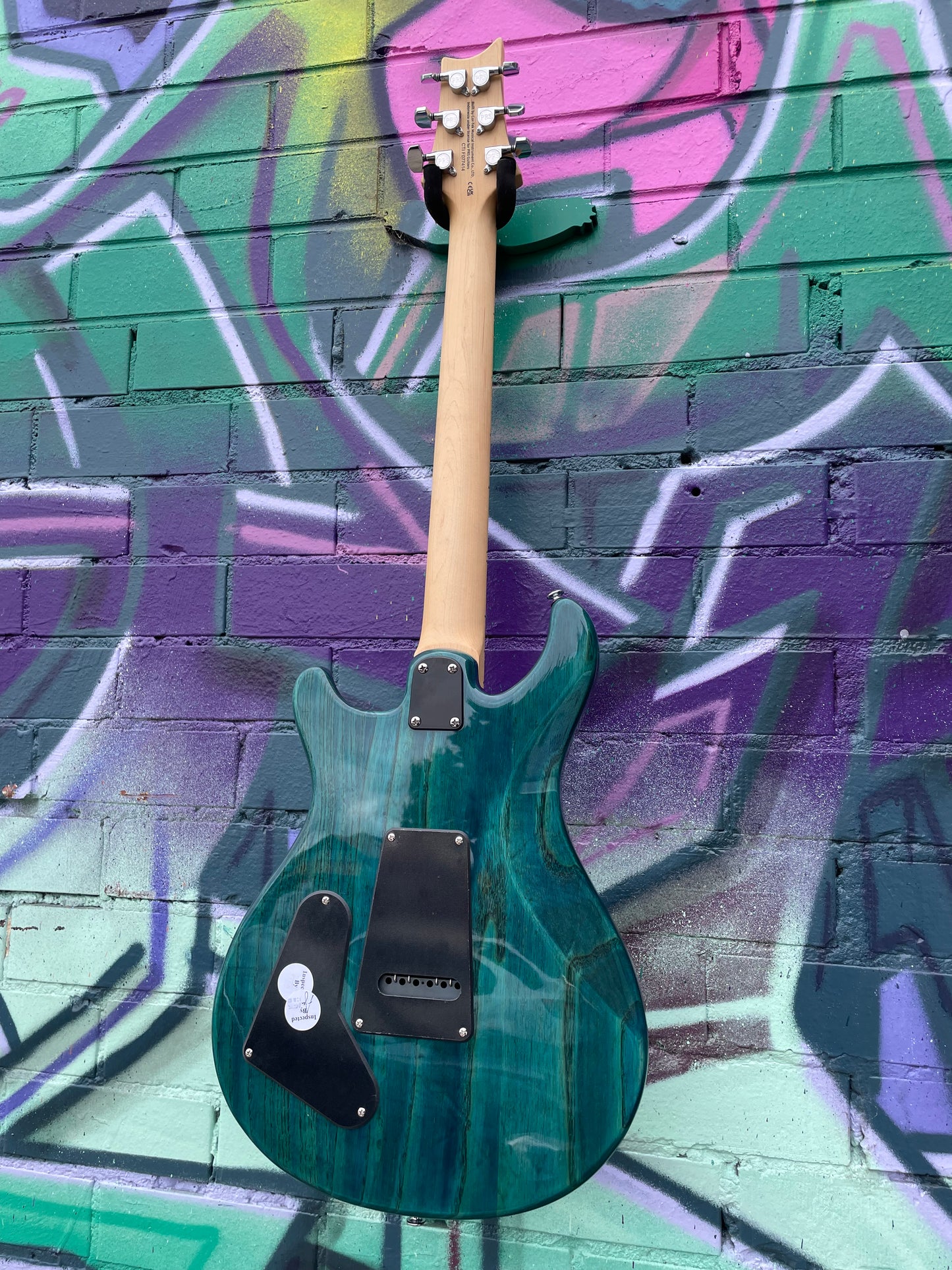 PRS SE Swamp Ash Special- Iri Blue