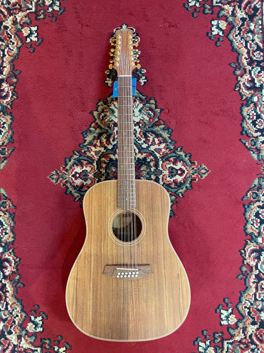 Cole Clark FL2E-12-LH-BLBL - All Blackwood (Left Handed)