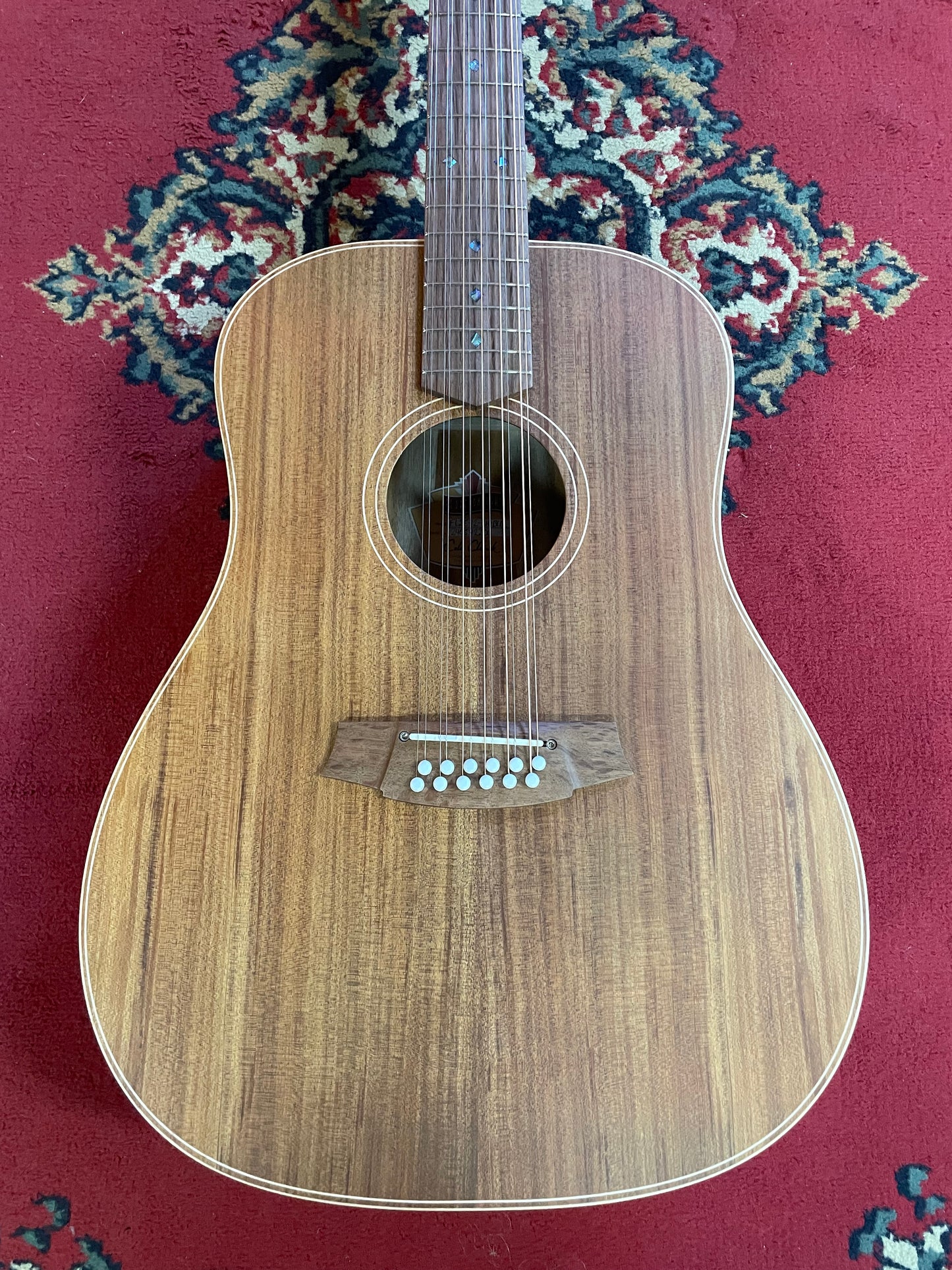 Cole Clark FL2E-12-LH-BLBL - All Blackwood (Left Handed)