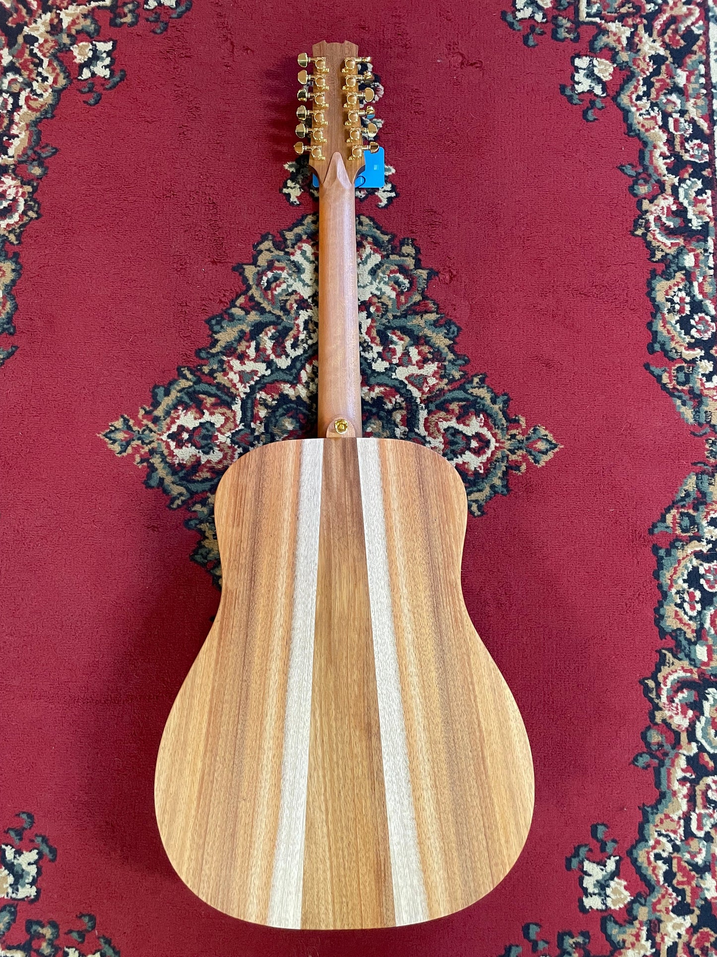 Cole Clark FL2E-12-LH-BLBL - All Blackwood (Left Handed)