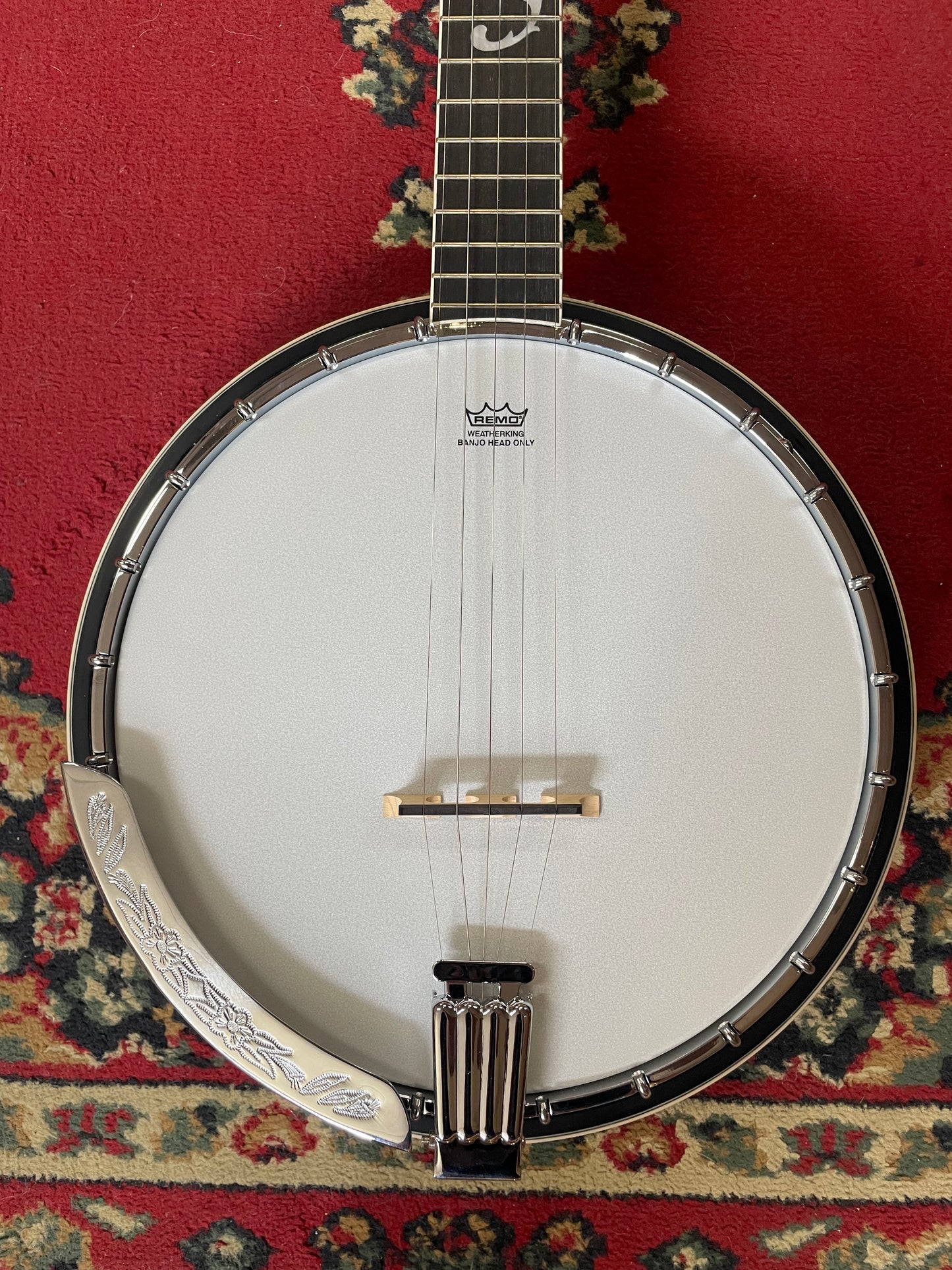 Ibanez B200 5 string Banjo