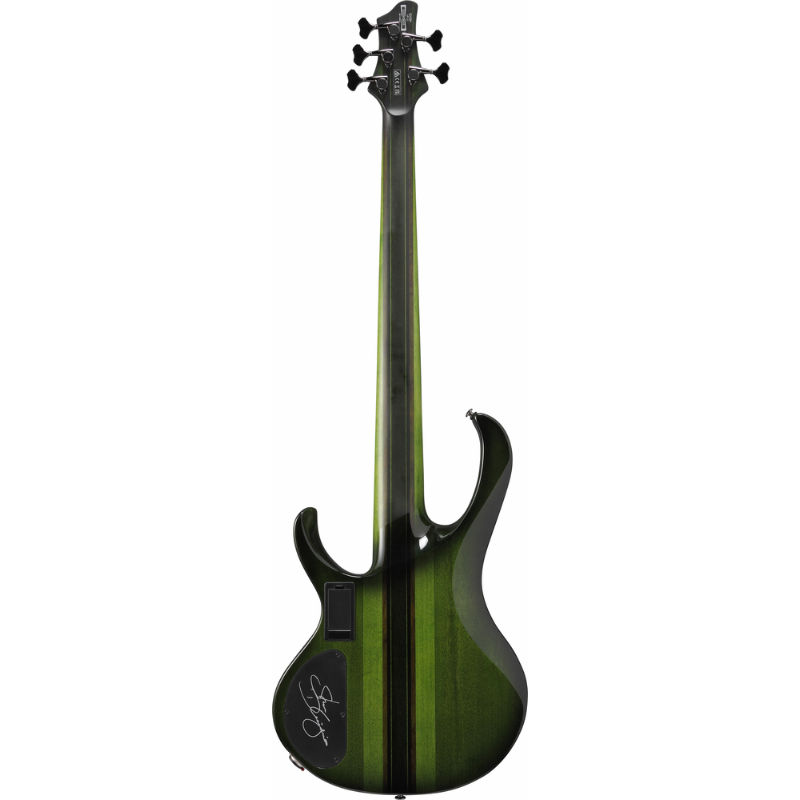 Ibanez SDGB1DMT 5 String Electric Bass Guitar Dark Moss Burst