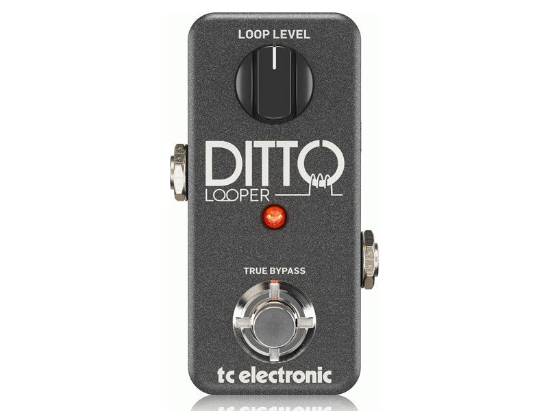 TC Electronic Ditto Looper – Guitar Paradise