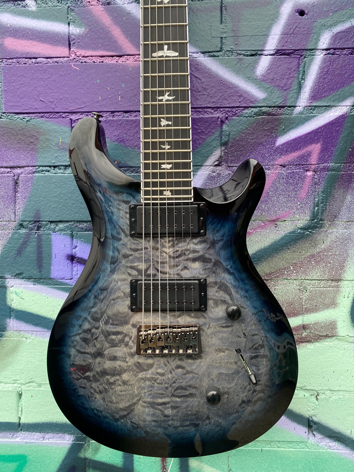 PRS SE Mark Holcomb SVN Electric Guitar - Holcomb Blue Burst