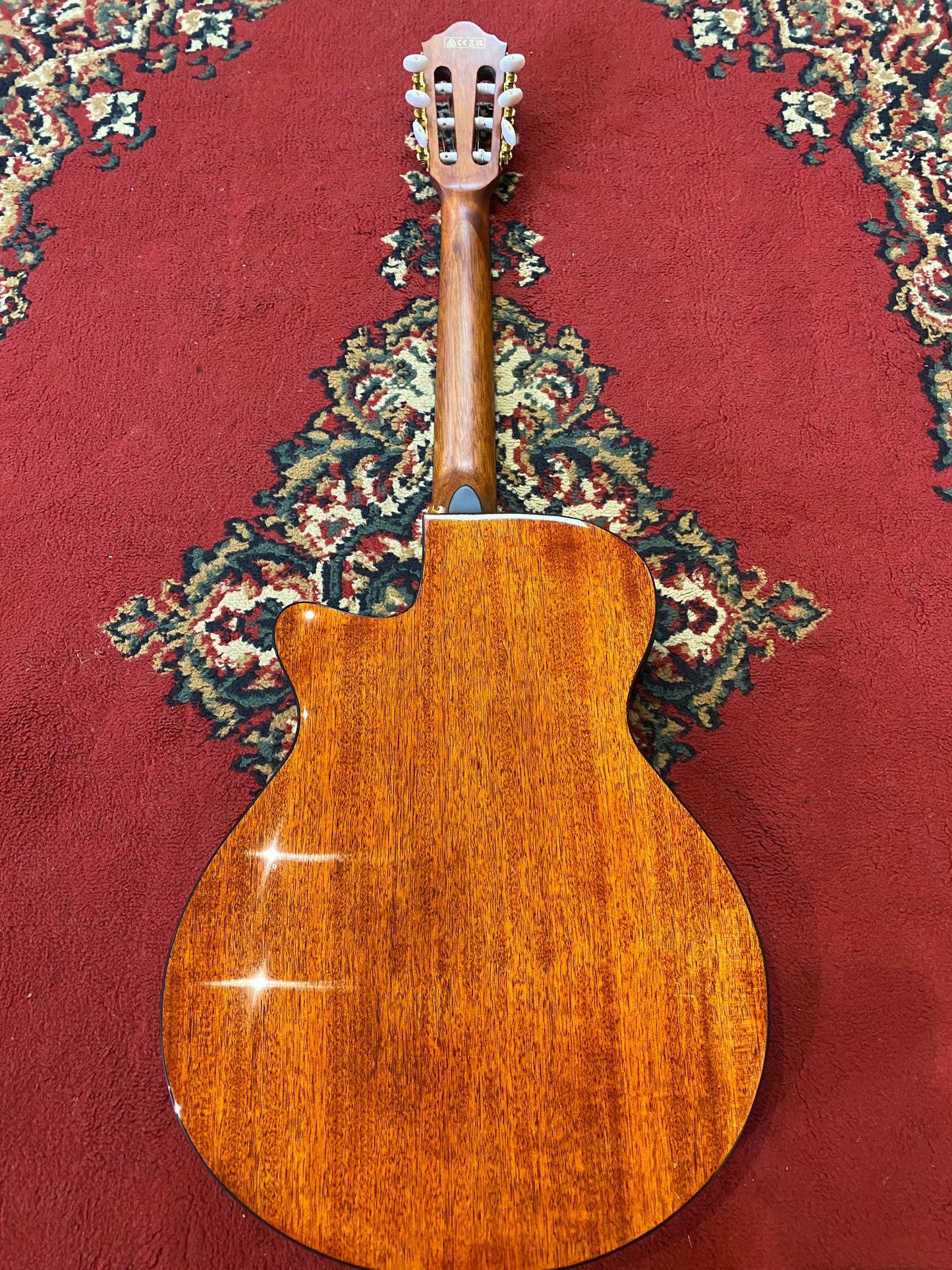 Ibanez AEG50N NT Acoustic Electric Guitar - Natural High Gloss
