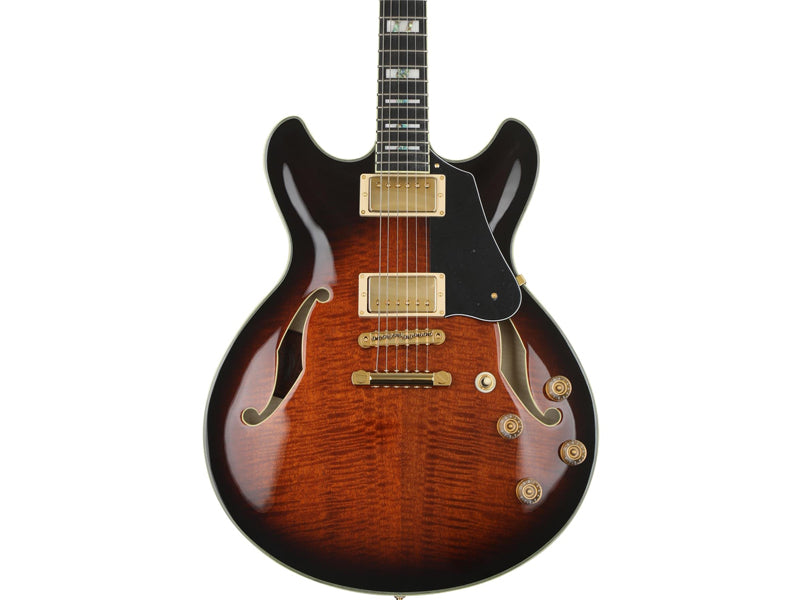Ibanez John Scofield Signature JSM100-VT Electric Guitar - Vintage Sunburst