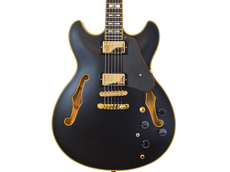 Ibanez John Scofield Signature JSM20-BKL Electric Guitar - Black Low Gloss