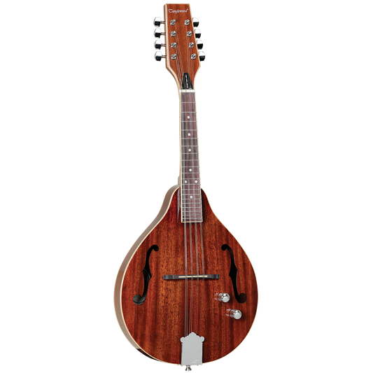 Tanglewood TWMTMHSTE Mahogany Mandolin - Natural Gloss