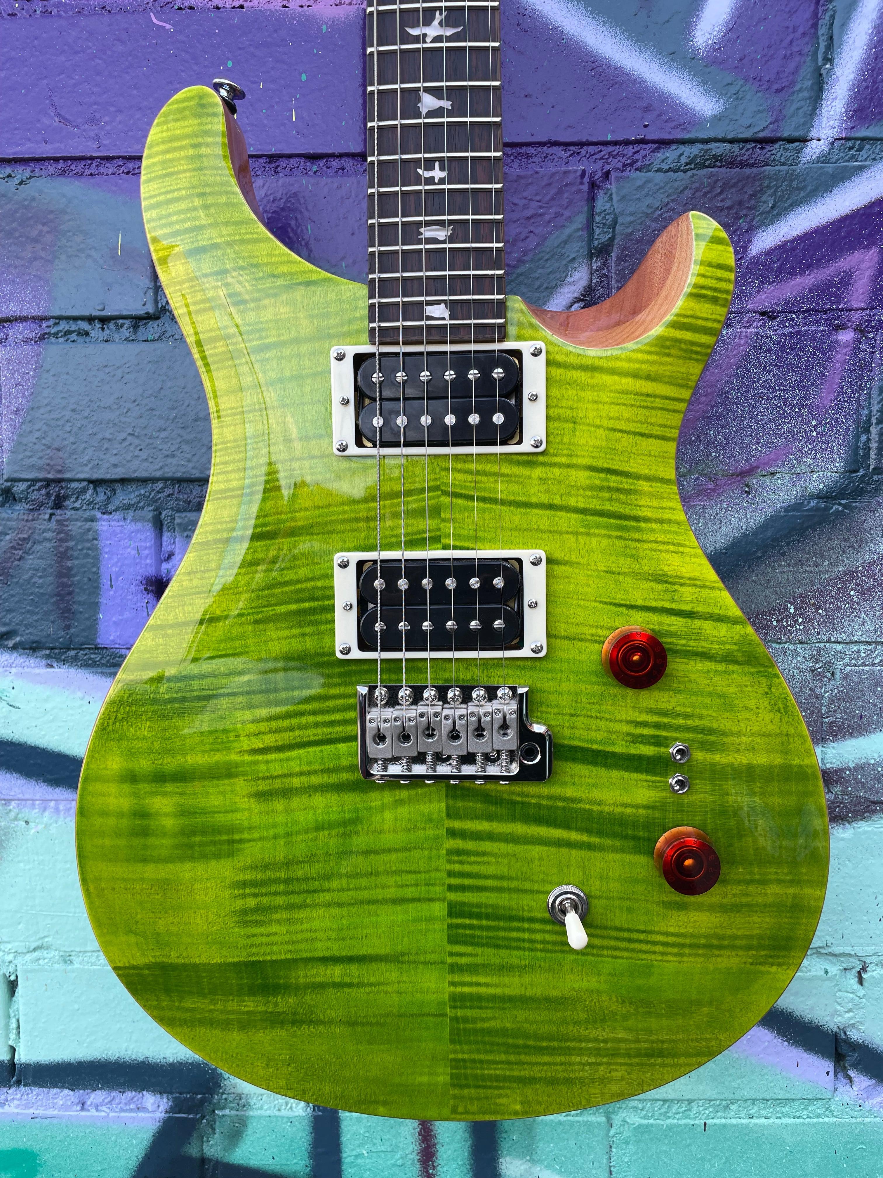 Prs se custom on sale 24 eriza verde