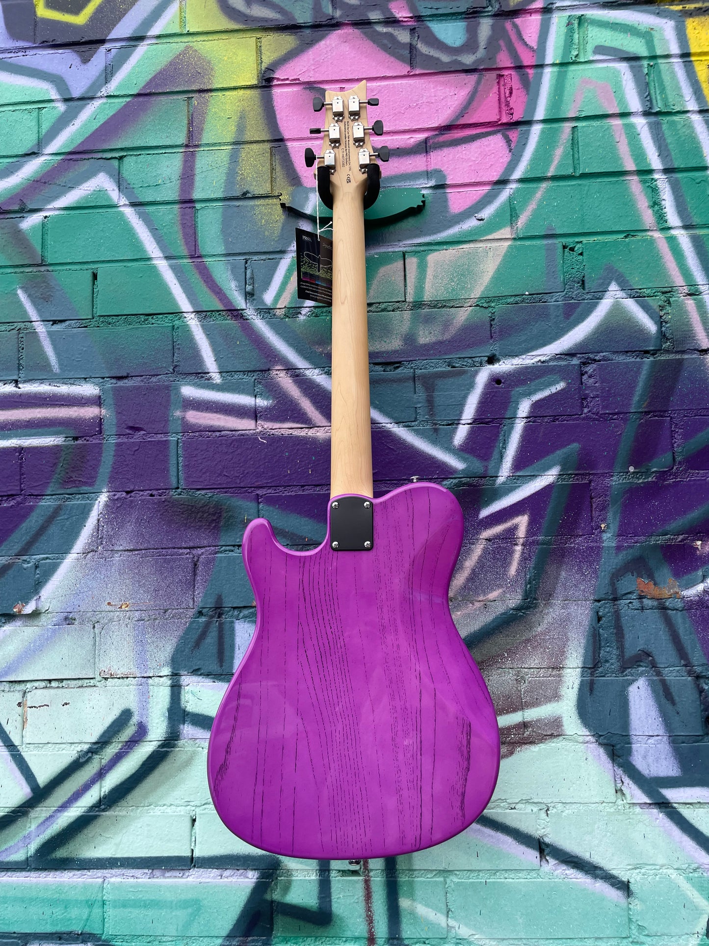 PRS Limited Edition SE NF53 Electric Guitar - Purple Doghair