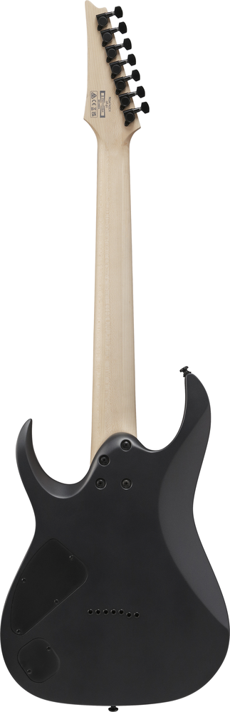 Ibanez RGA742EX Electric Guitar - Black Aurora Burst Matte