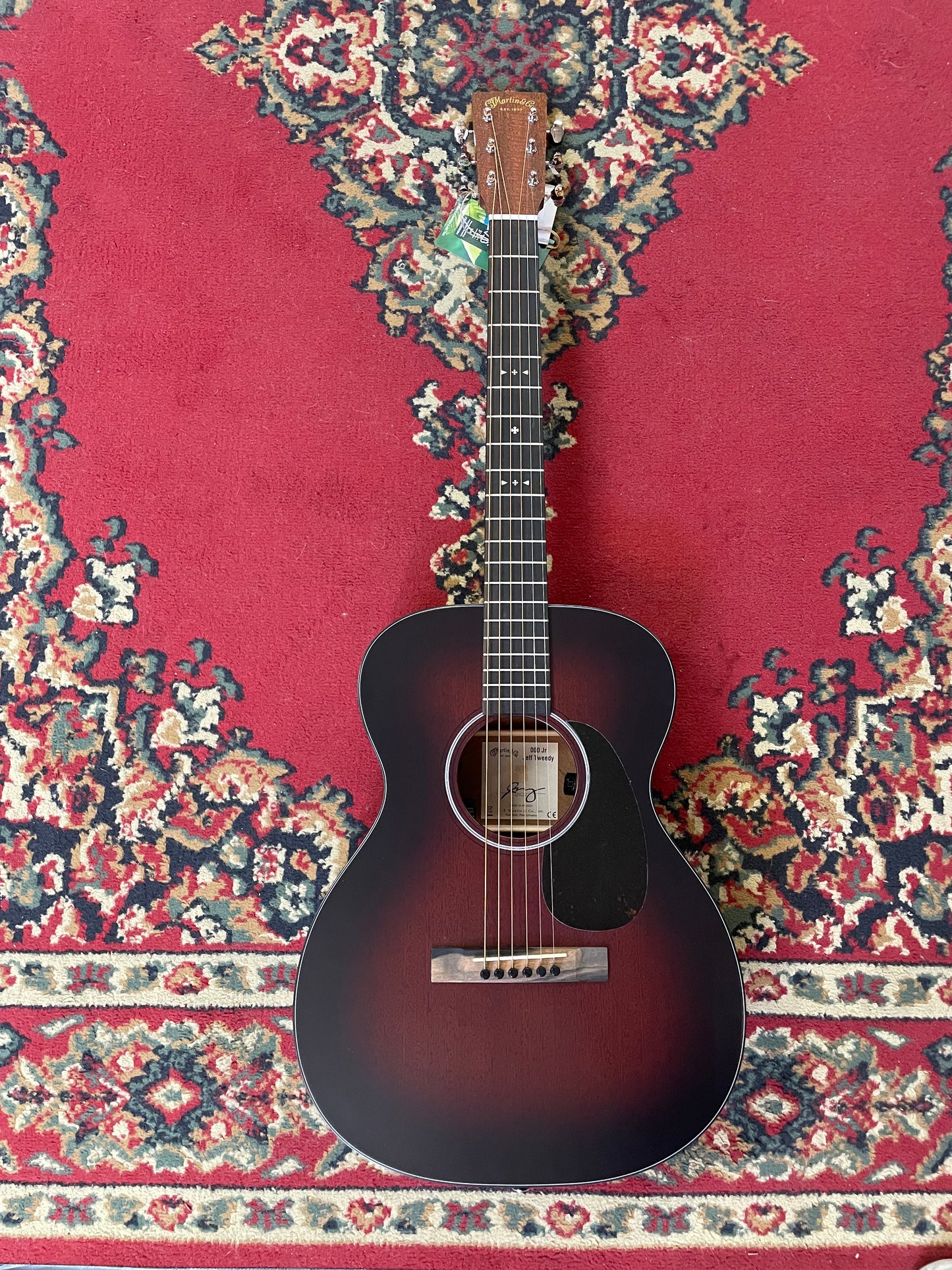 Martin 000-JRE Jeff Tweedy Signature Edition Junior Acoustic Guitar