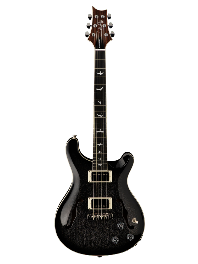 PRS SE Hollowbody Standard Piezo Electric Guitar - Dog Hair Smokeburst