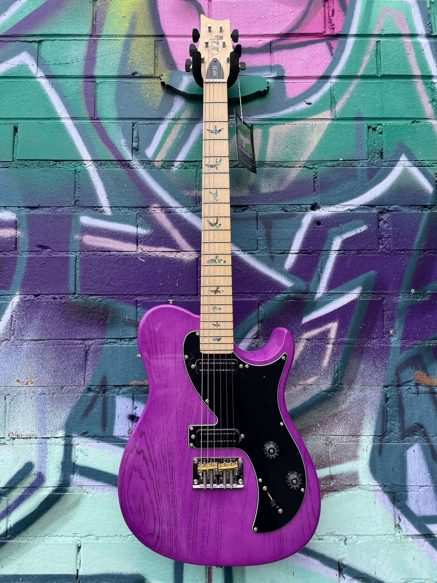 PRS Limited Edition SE NF53 Electric Guitar - Purple Doghair