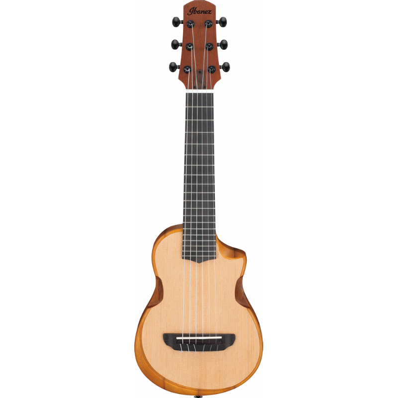 Ibanez AUP10NOPN Ukulele Open Pore Natural