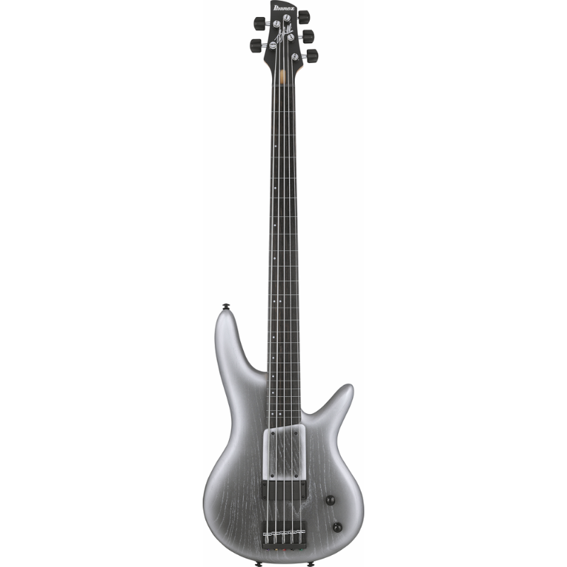 Ibanez GWB25THSWF 5 String Electric Bass Guitar Silver Wave Burst Flat