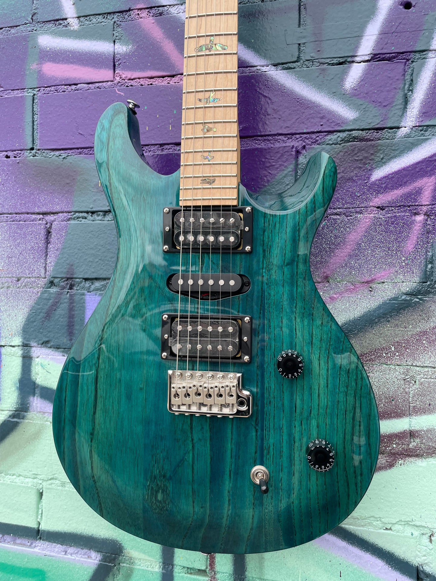 PRS SE Swamp Ash Special Electric Guitar - Iri Blue