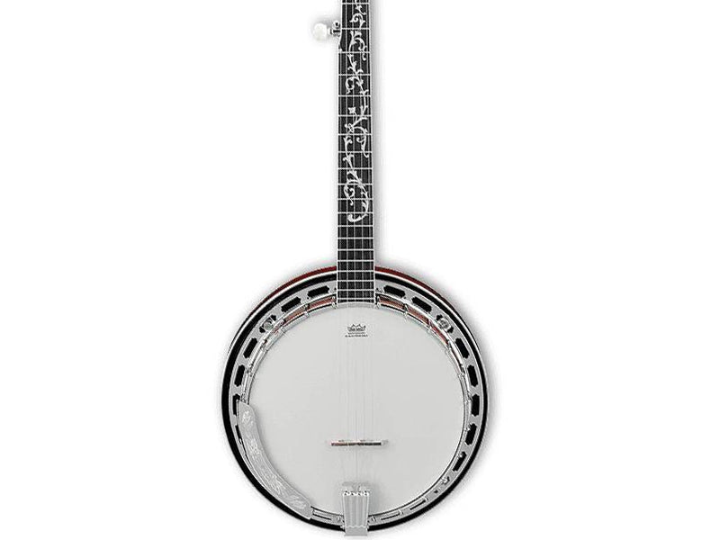 Ibanez B200 5 String Banjo – Guitar Paradise