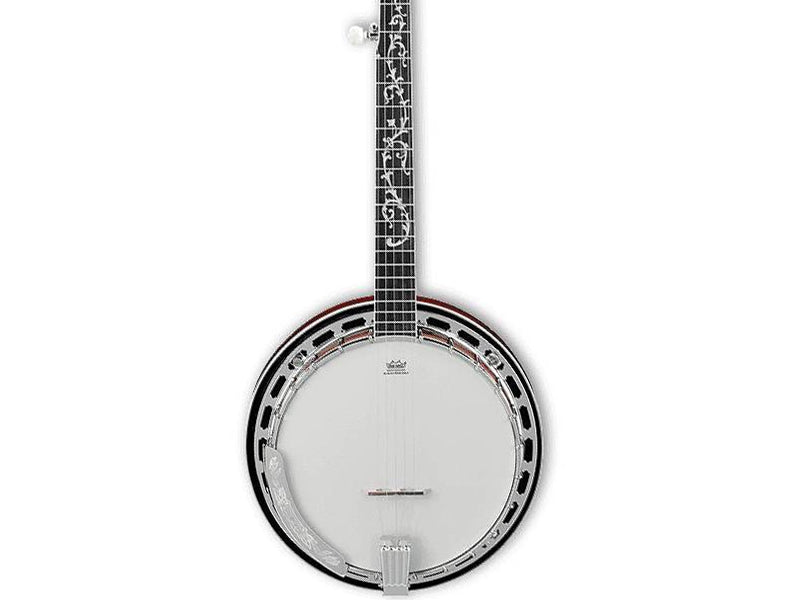 Ibanez B200 5 string Banjo