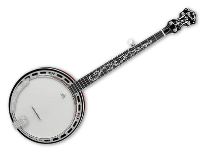 Ibanez B200 5 string Banjo