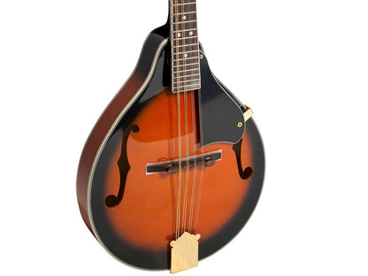 Bryden SMA60 Arch Top Mandolin - Tobacco Sunburst