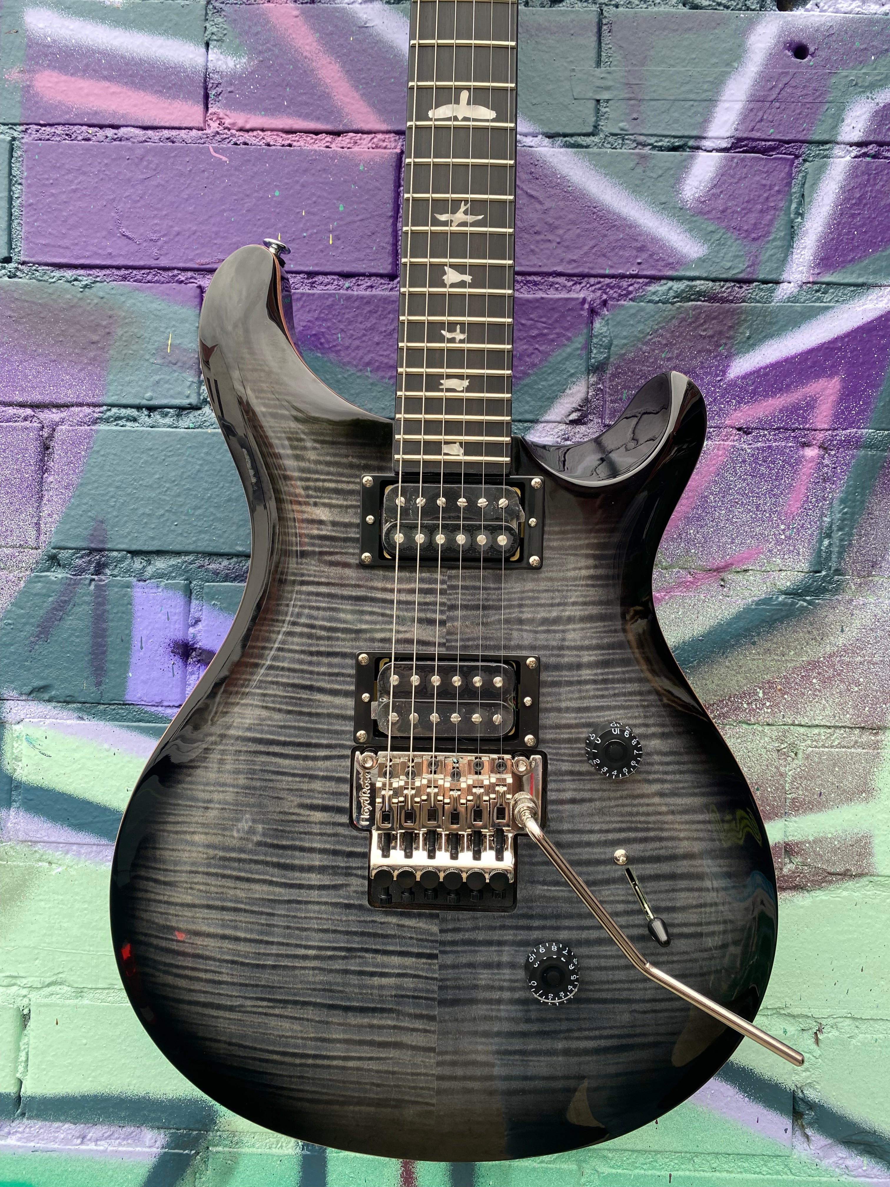 Prs se custom 24 deals floyd electric guitar