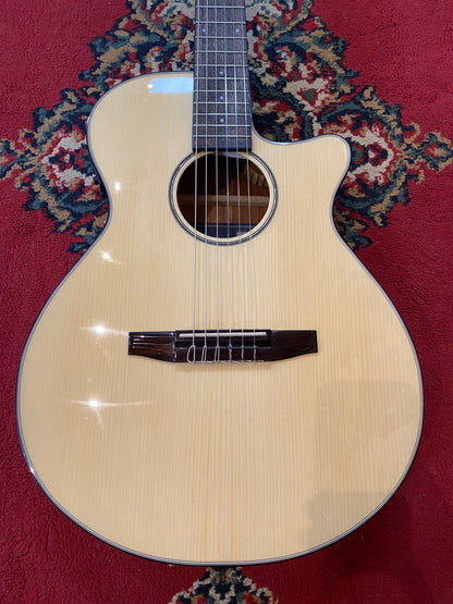 Ibanez AEG50N NT Acoustic Electric Guitar - Natural High Gloss