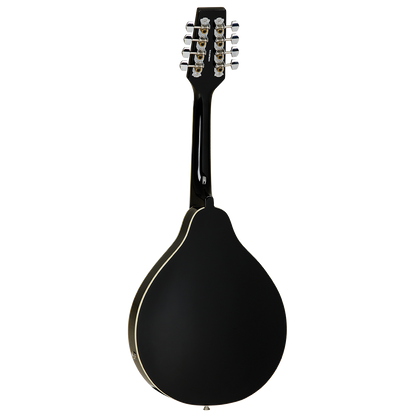 Tanglewood TWMTBKPE Mandolin with Pickup - Black Gloss