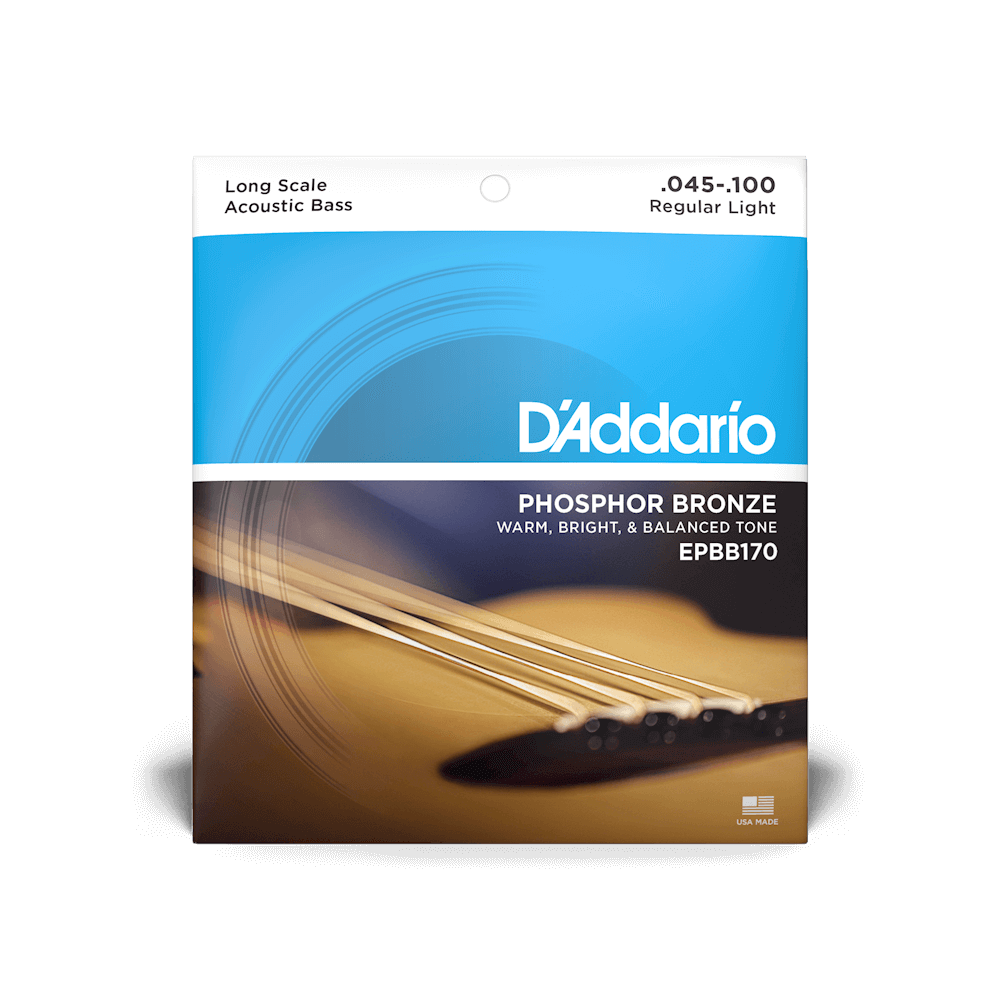D'Addario EPBB170 Acoustic Bass Strings 45-100